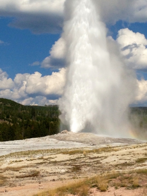Yellowstone & the West 